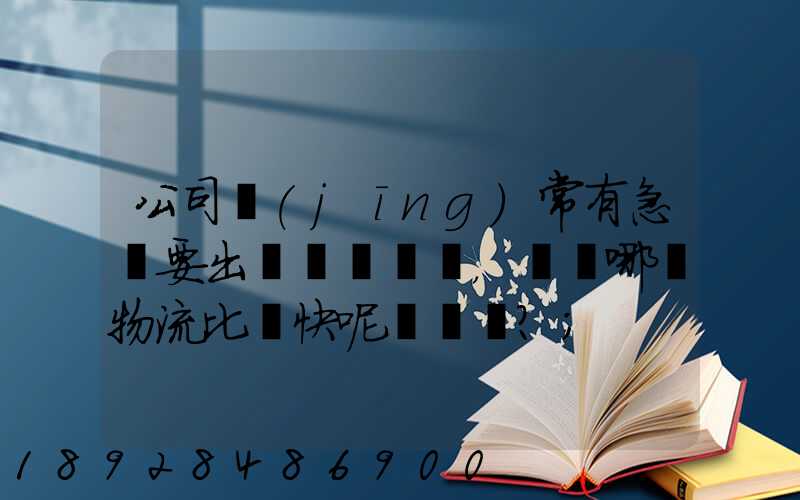 公司經(jīng)常有急貨要出，請問哪個物流比較快呢？